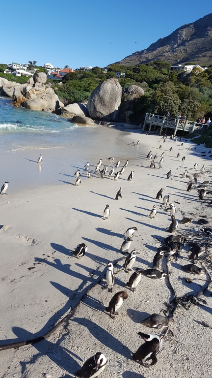 Peninsula Tour ITAP World