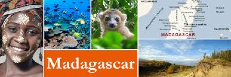 AIFT Madagascar Ltd