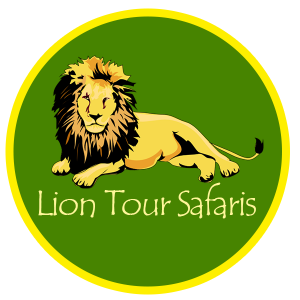 LionTour Safaris