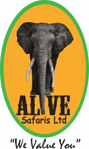 Alive Safaris Ltd