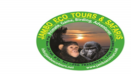 JAMBO ECO TOURS AND SAFARIS LTD