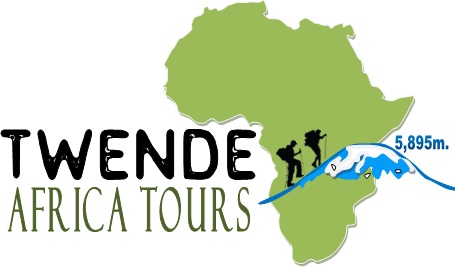 Twende Africa Tours