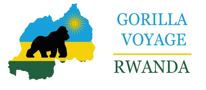 Gorilla Voyage Rwanda