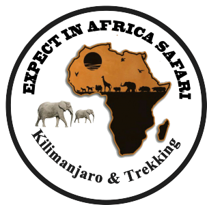 Africa Serengeti Safaris & Kilimanjaro Summit Trekking