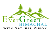 Eevergreen  Himachal Tour Travel
