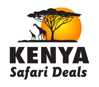 Kenya Safari Deals
