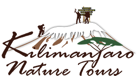 www.kilimanjaro naturetours.com