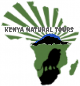 KENYA NATURAL TOURS CO LTD