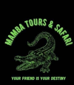 Mamba tours & safari