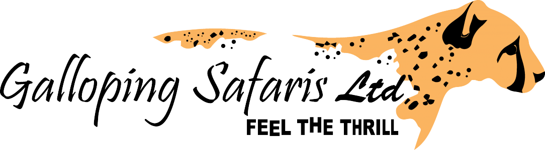 Galloping Safaris Ltd
