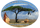 JMM Vision and Wildlife Adventures tours