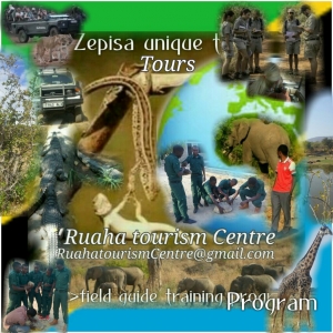 Ruaha tourism Centre