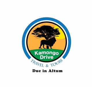 KamongoDrive Travel & Tours