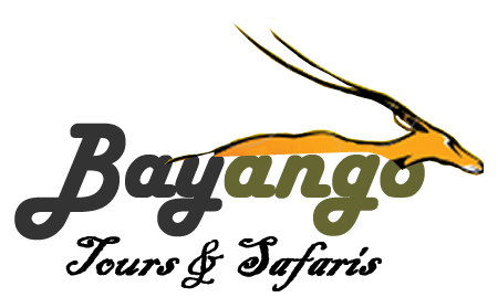 Bayango Tours & Safaris