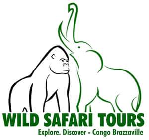 Wild Safari Tours