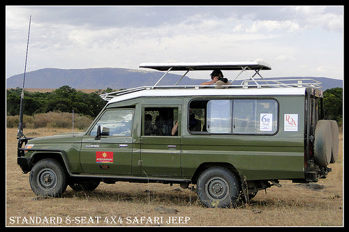 Bruno safaris & tours