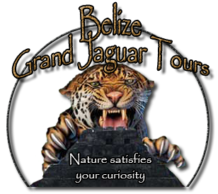 Belize Grand Jaguar Tours