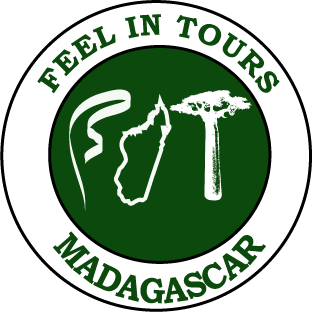 FEEL IN TOURS MADAGASCAR