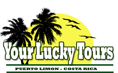 Your Lucky Tours