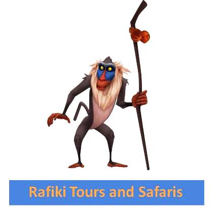 Rafiki Tours and Safaris