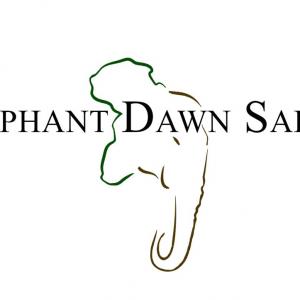 Elephant Dawn Safaris