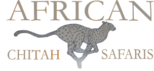African Chitah Safaris