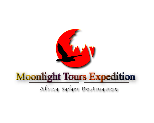 Moonlight Tours Expedition