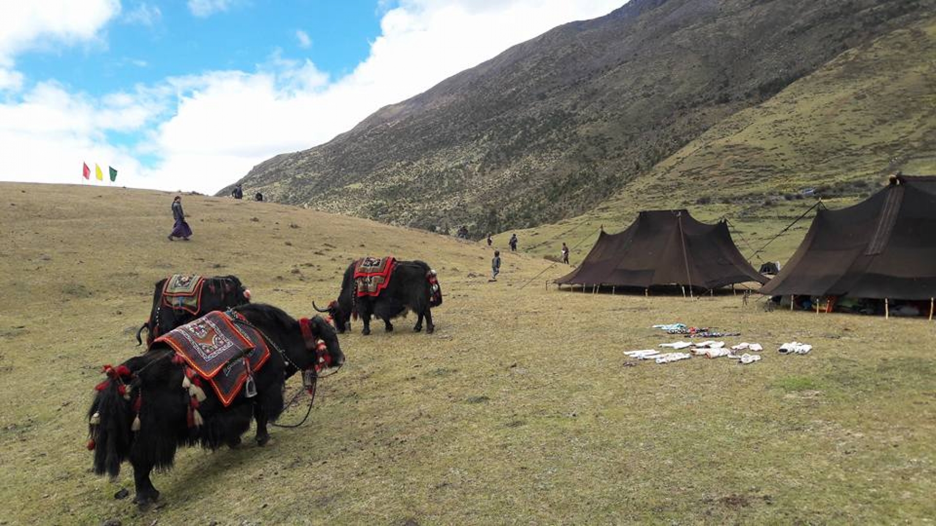 Jomolhari Laya Gasa Trek Itap World