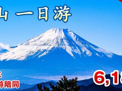 Japan Fuji Mountain 1 day tour