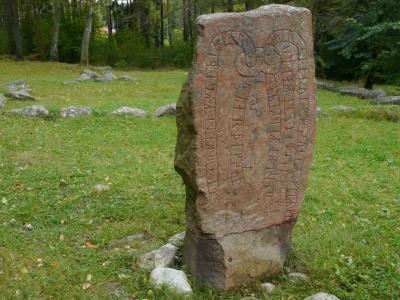 Viking History Small Group Tour from Stockholm: Half day