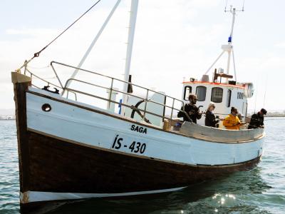 Sea Angling Gourmet Tours From Reykjavik